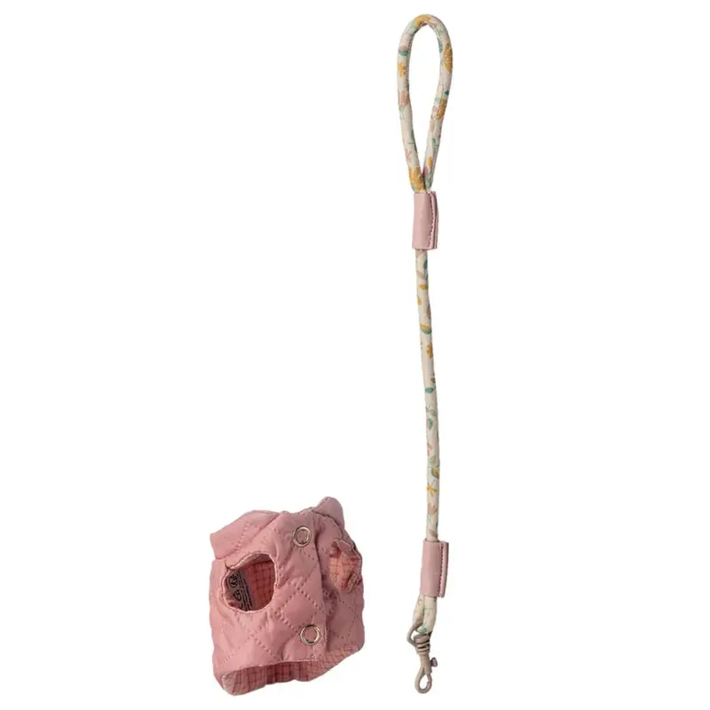 Accessoires Pour Animaux, Harnais et Laisses - Rose