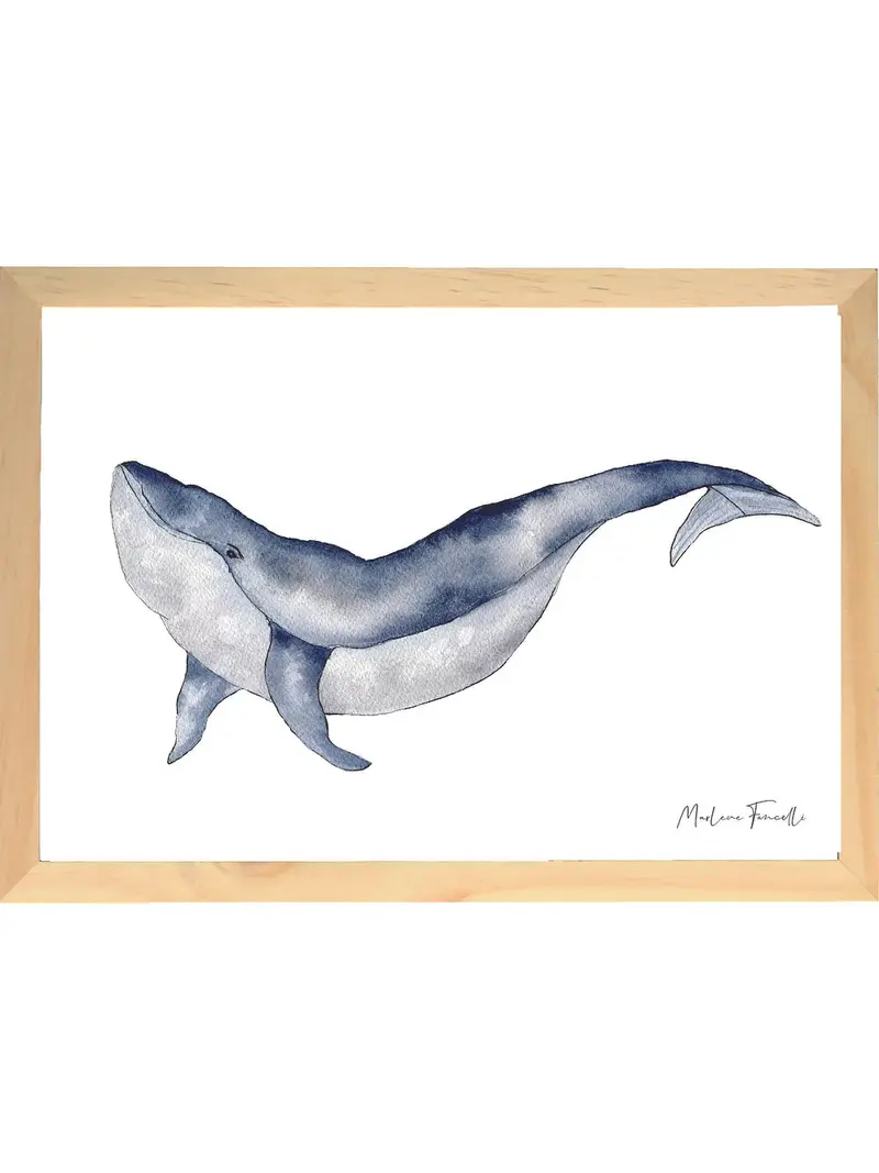 Aquarelle en cadre Dany - Baleine - Marlene Fancelli Art
