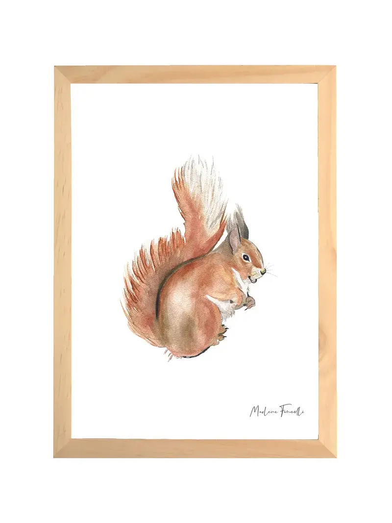 Aquarelle en cadre Gaston l'ecureuil - Marlène Fancelli Art