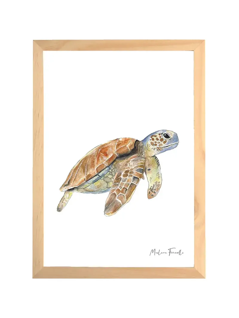 Aquarelle en cadre Sam Tortue - Marlene Fancelli Art