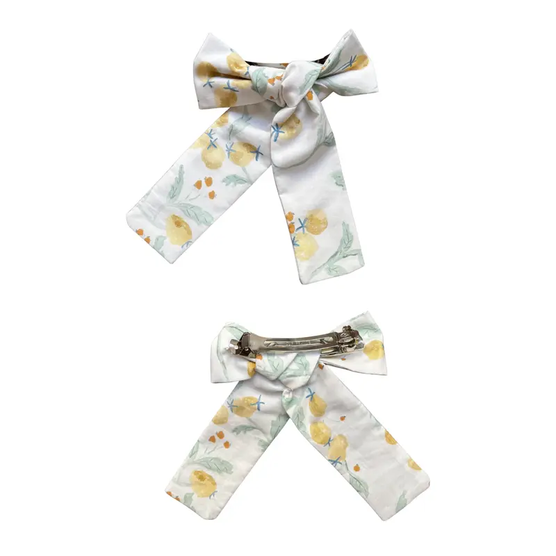 Barrette Noeud Butterfly