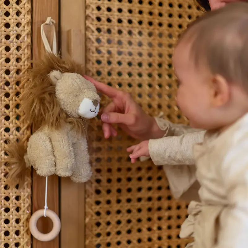 Boîte à musique lion Safari Friends – mélodie apaisante pour bébé