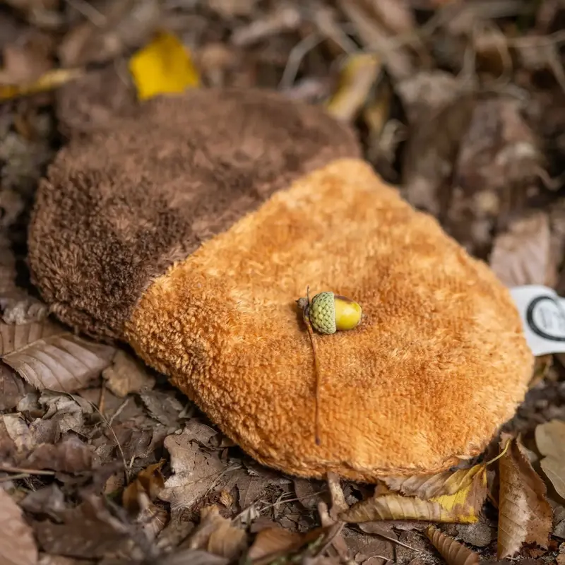 Bouillotte sèche en coton bio Senger Naturwelt - Gland
