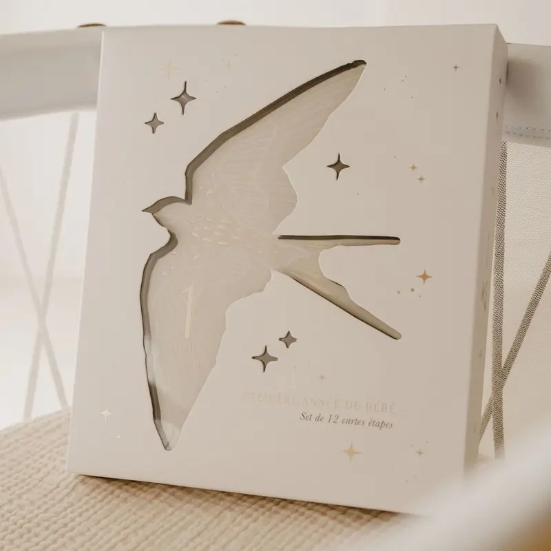 Cartes étapes Birds