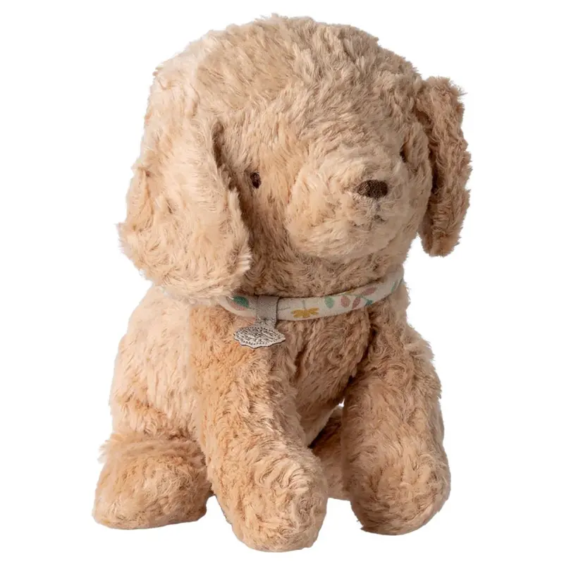 Chiot, Petit - Poudre