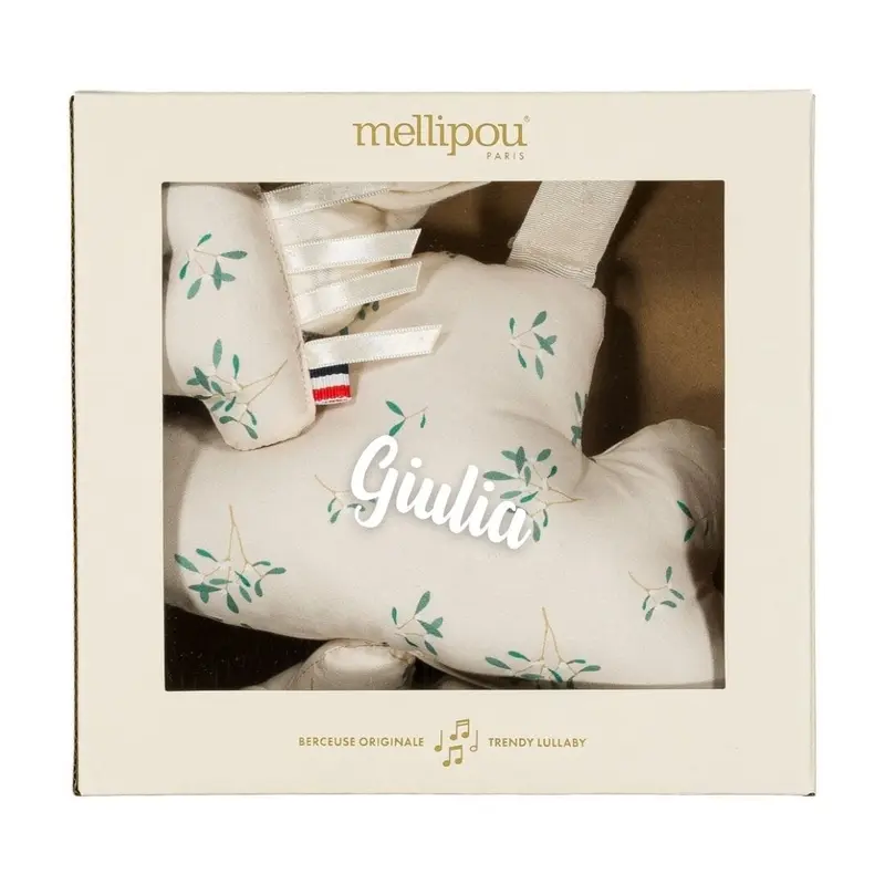 Coffret bébé doudou et coussin musical - Léonard