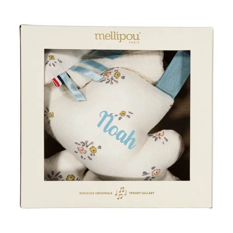 Coffret naissance doudou et coussin musical - Angèle