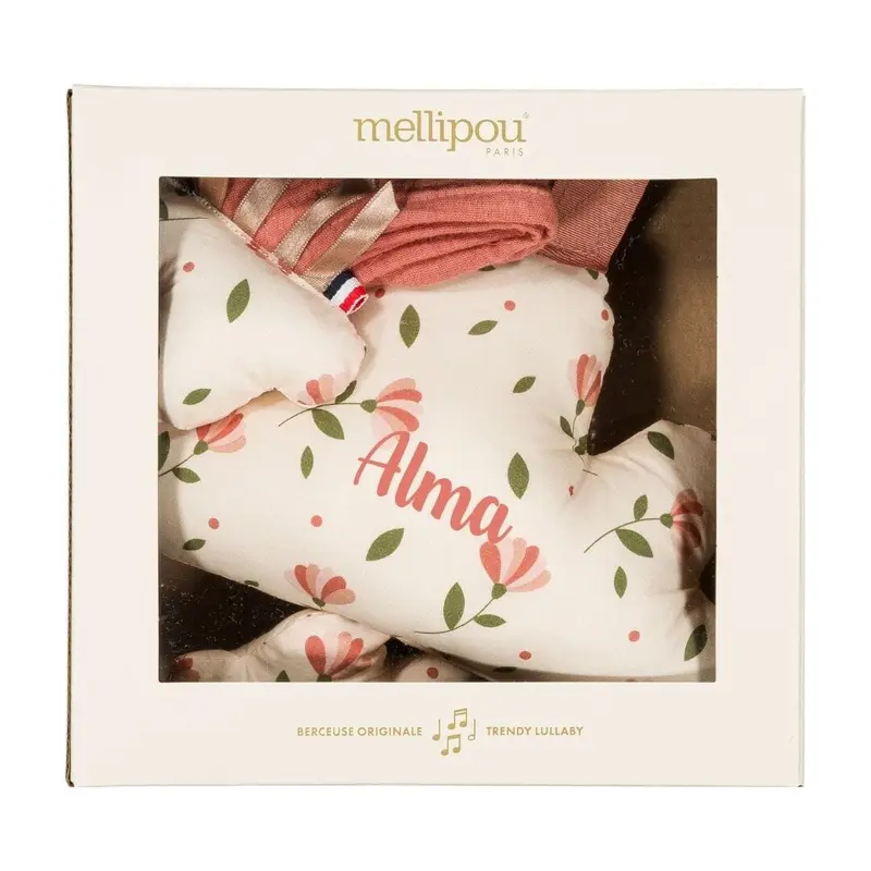 Coffret naissance mixte doudou et coussin - Holiday