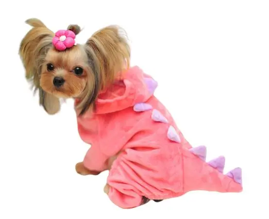 Costume Dinosaure <br> Chien