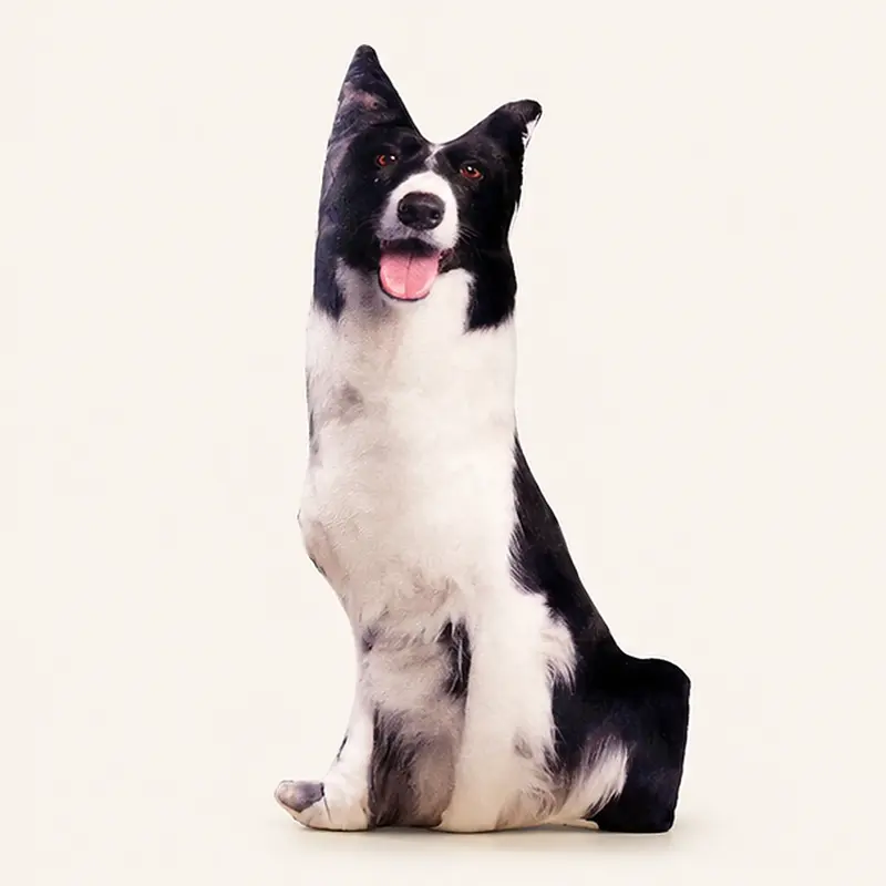 Coussin Chien Peluche