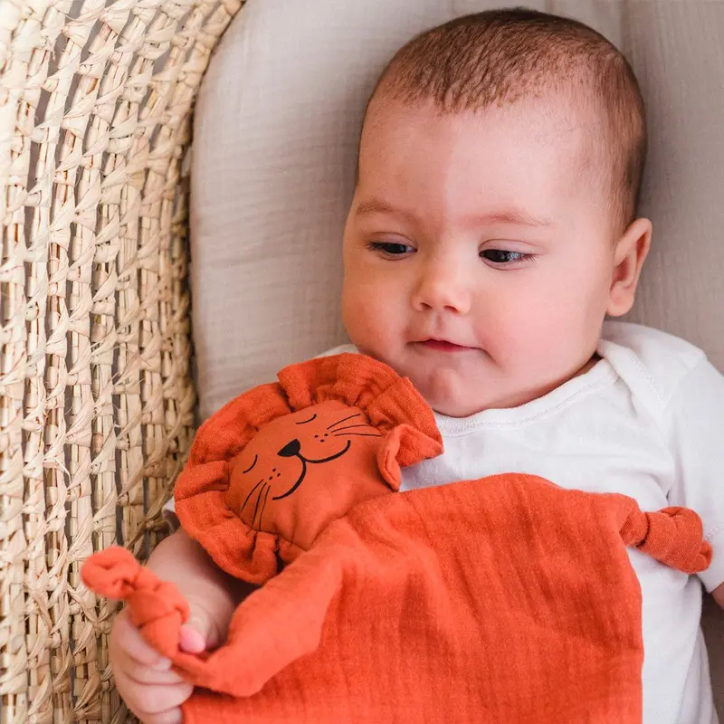 Doudou plat coton bio lion