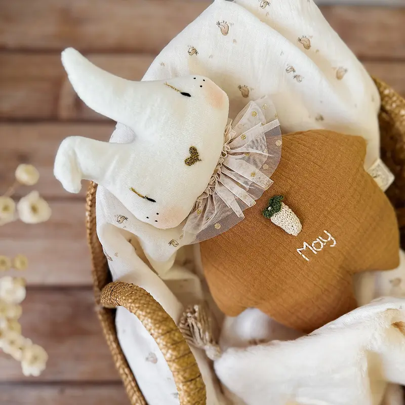 Doudou prénom personnalisé - Lapin Mr Croq'Carotte (Biscuit)