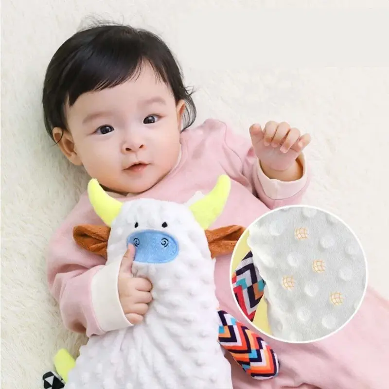 Doudou Sensoriel Bébé avec Anneau de Dentition | Choupinoo
