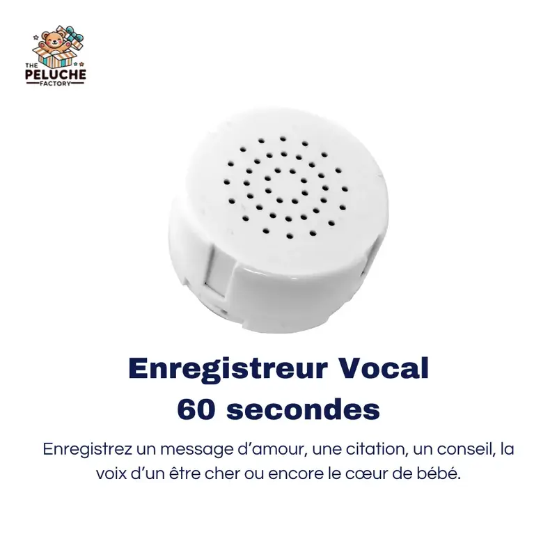 Enregistreur Vocal pour Peluche