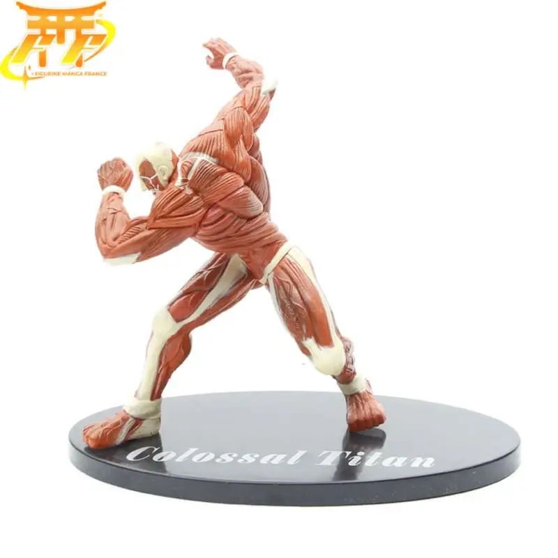 Figurine Titan Colossal - Attaque des Titans