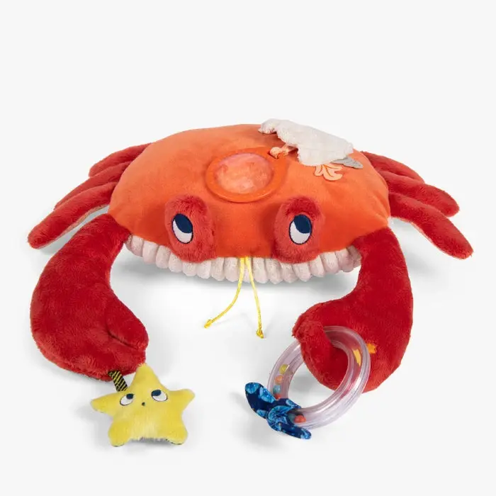Grand crabe d'activités - MOULIN ROTY