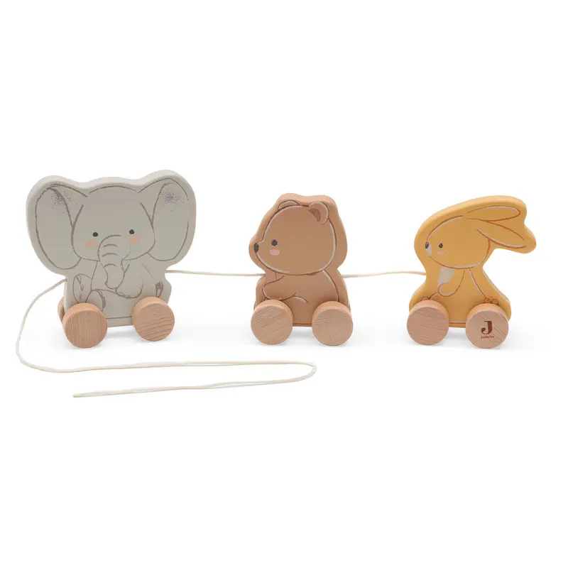 Jouets en bois à roulettes Jollies - Jollein