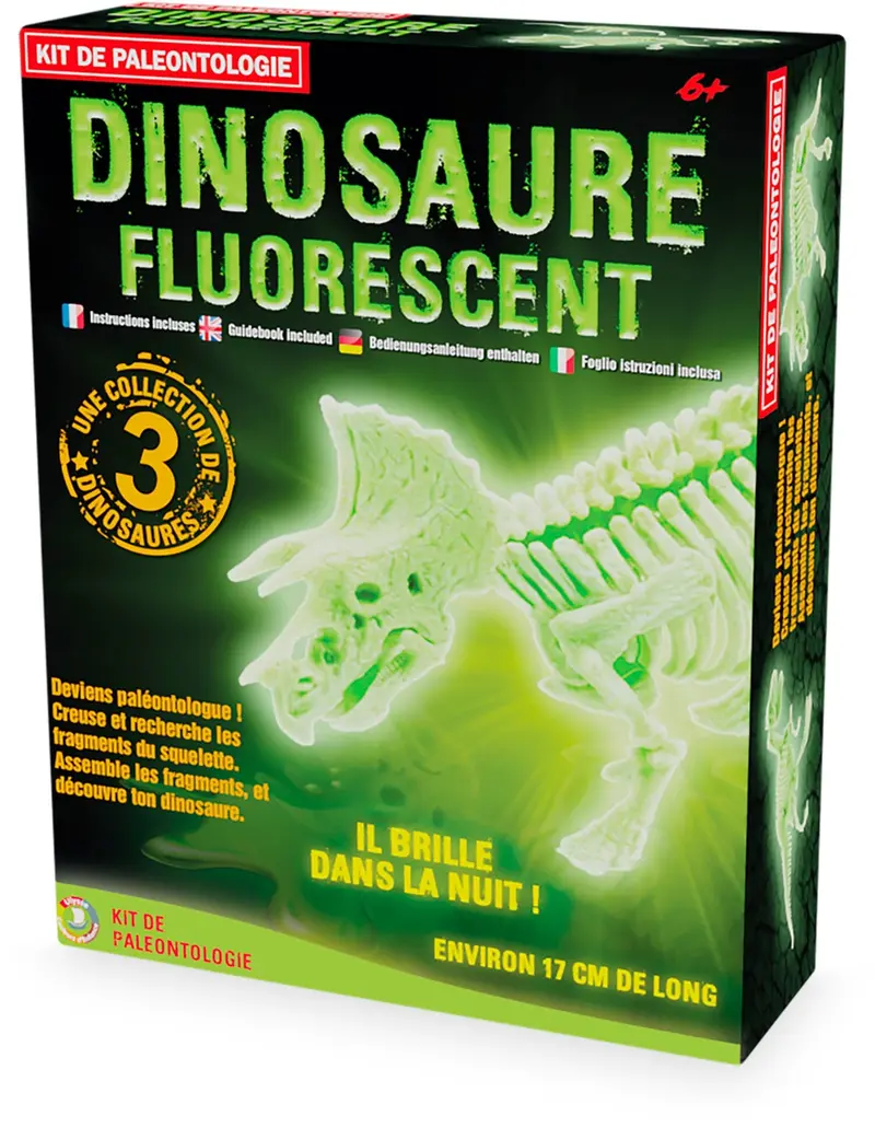 Kit paleo 3 squelettes dino fluo - ULYSSE
