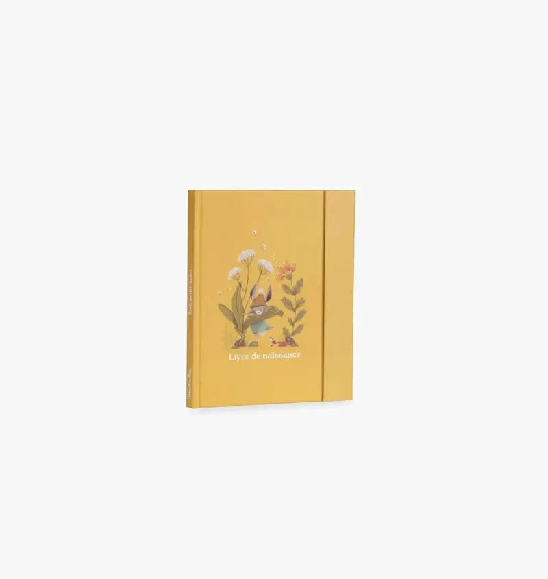 Livre de naissance Trois petits lapins (80 pages) - MOULIN ROTY