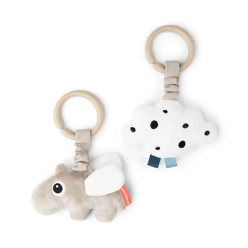 Lot de 2 jouets d'activité sensoriel Ozzo