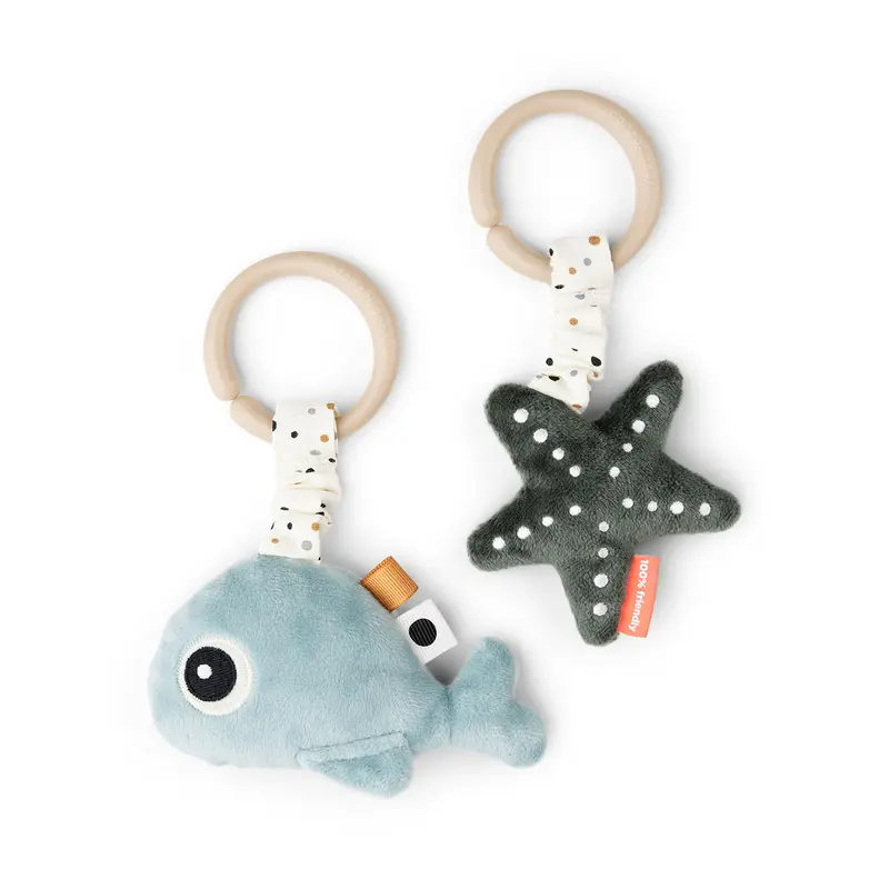 Lot de 2 jouets d'activité sensoriel Wally