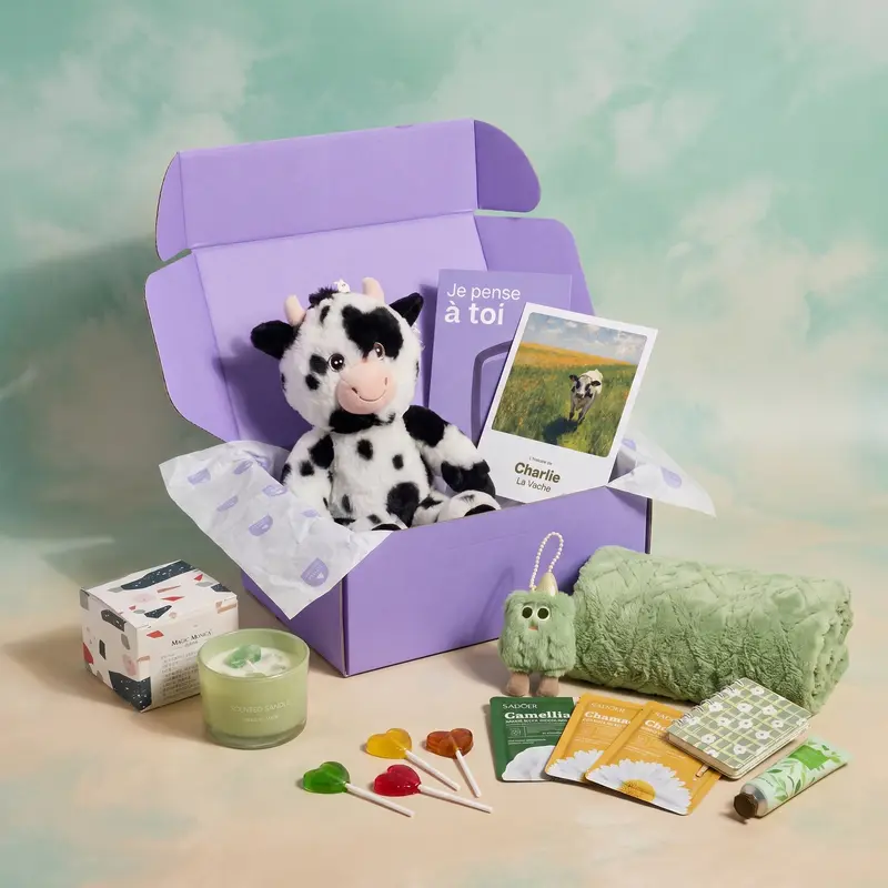 Pack Bon Rétablissement & Convalescence