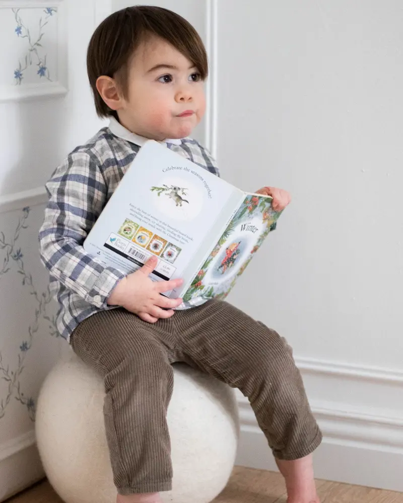 Pantalon bébé Ferdinand velours taupe