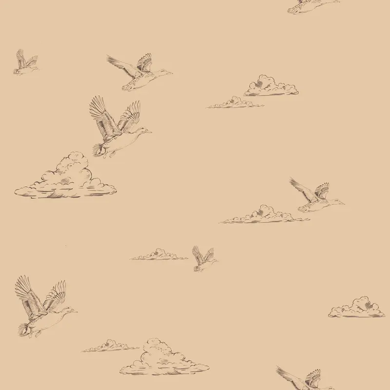 Papier Peint Pour Enfants Beige Canards Dans Le Ciel