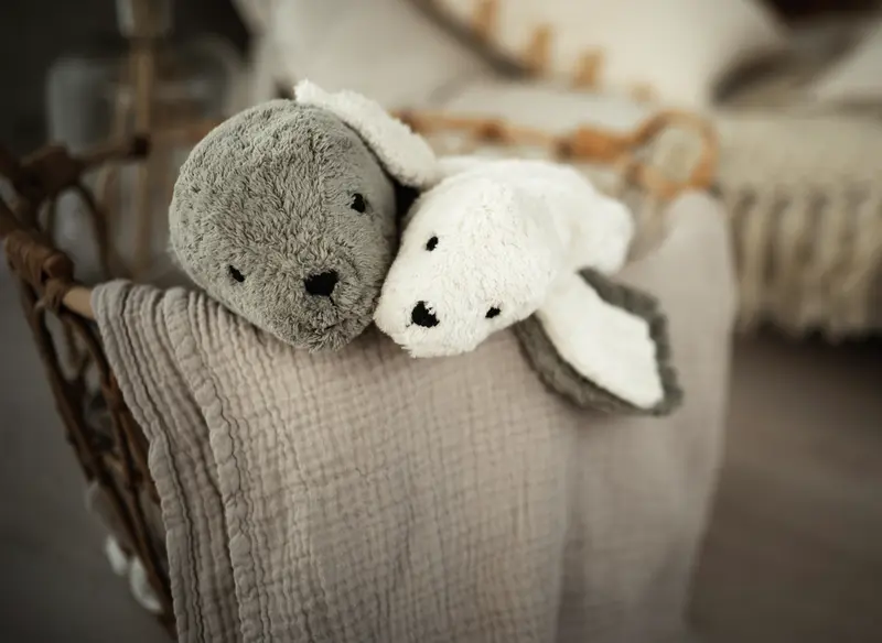 Petit phoque blanc bouillotte