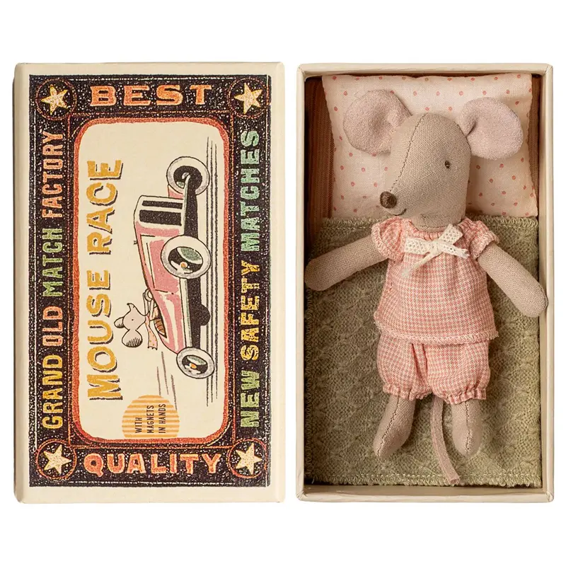 Petite Sœur Souris Dans Sa Boîte D'allumettes