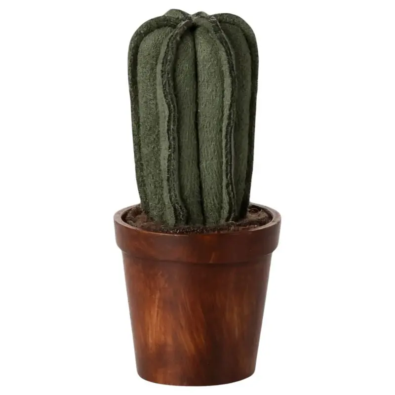 Pot De Fleur Avec Cactus