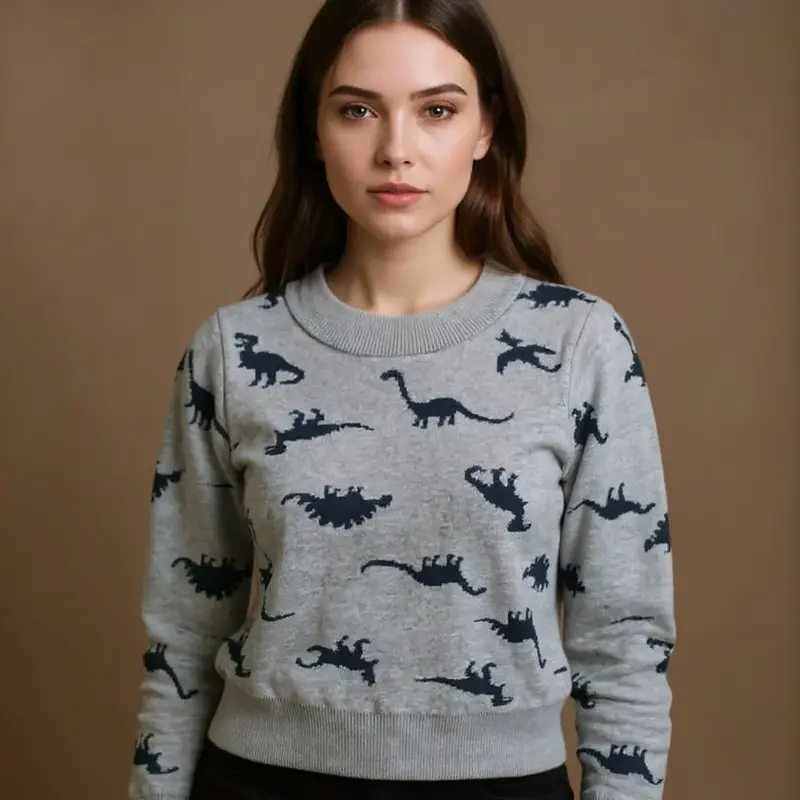 Pull Dinosaure Enfant Col Rond