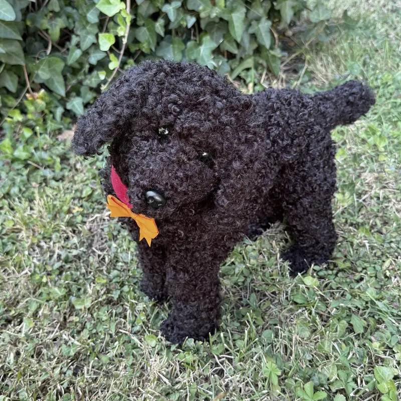 RESERVE 🐾 Réglisse – Caniche noir réaliste fait main (50 cm), yeux en verre, fausse fourrure, certificat, médaillon gravé