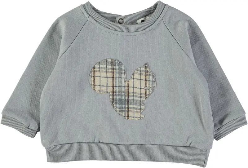 Sweat shirt bébé écureuil