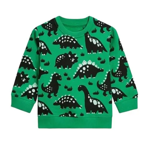 Sweat Shirt Dinosaure <br> Vert