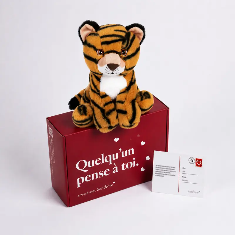 Taïs le Tigre 🐅