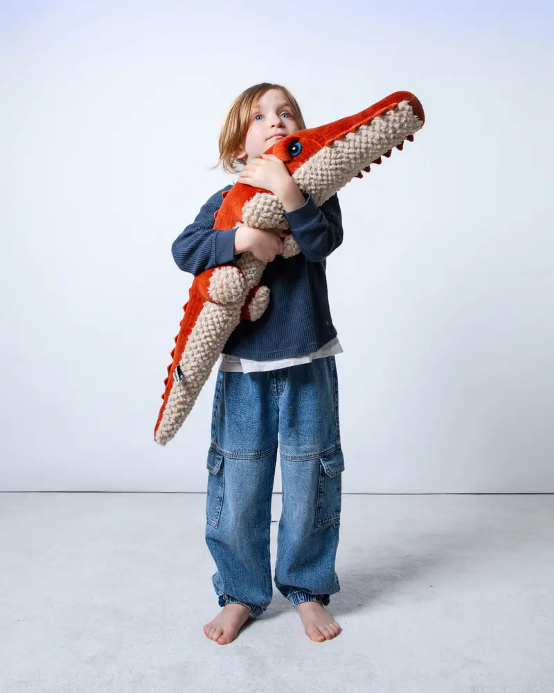 The Crocodile