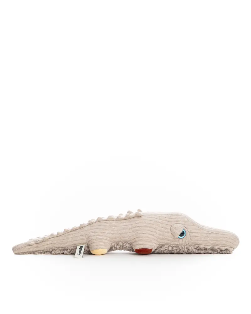 The Mini Crocodile