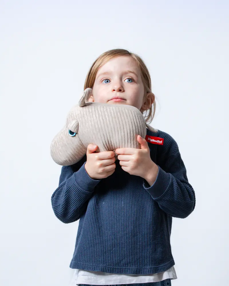The Mini Hippo