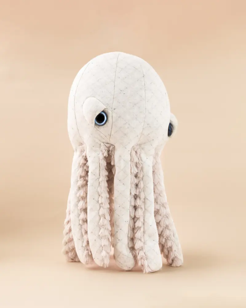 The Mini Octopus