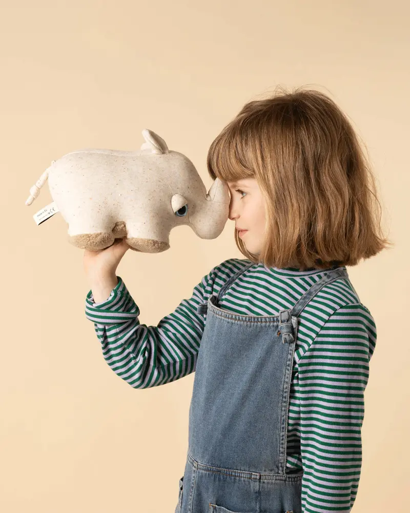 The Mini Rhino