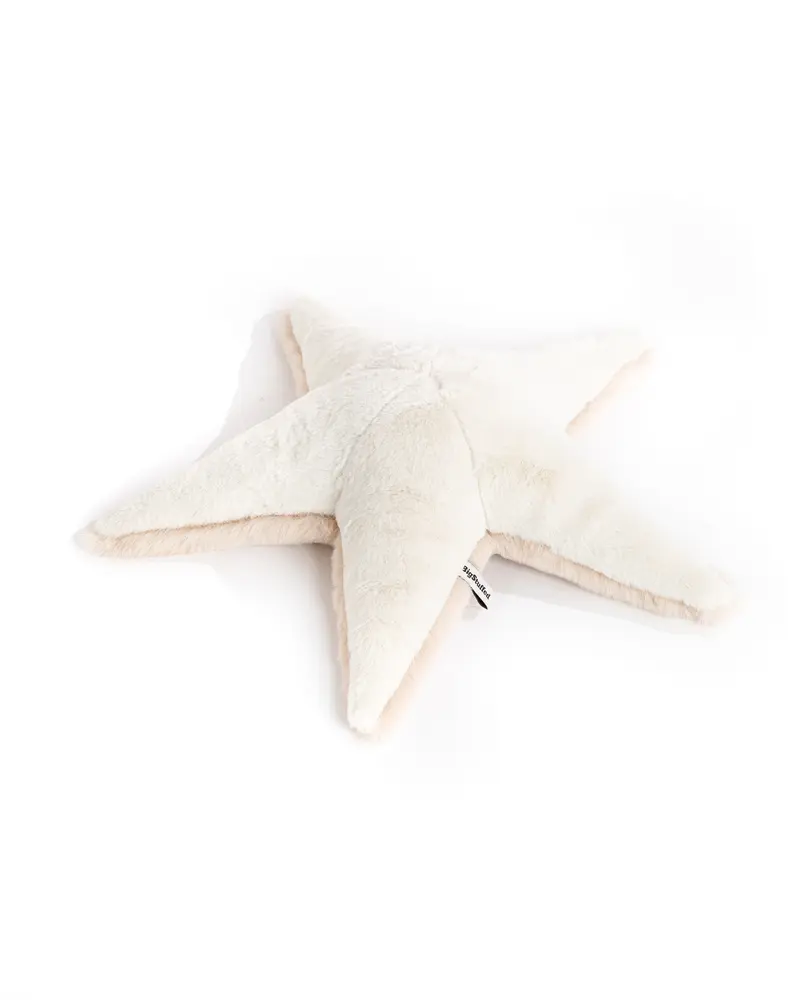 The Starfish